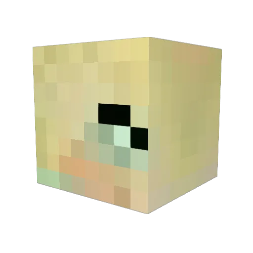MiaKate13 Minecraft avatar head, 3D render