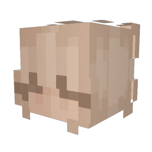 MiaMiaHannah Minecraft avatar head, 3D render