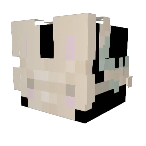 MiaMouse1234 Minecraft avatar head, 3D render