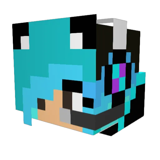 MiaPi314 Minecraft avatar head, 3D render