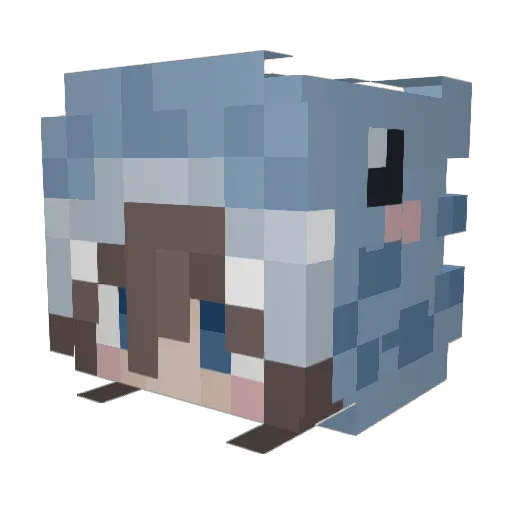 Mia_TheFrog Minecraft avatar head, 3D render