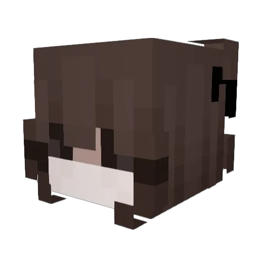 Mia_mimi89 Minecraft avatar head, 3D render