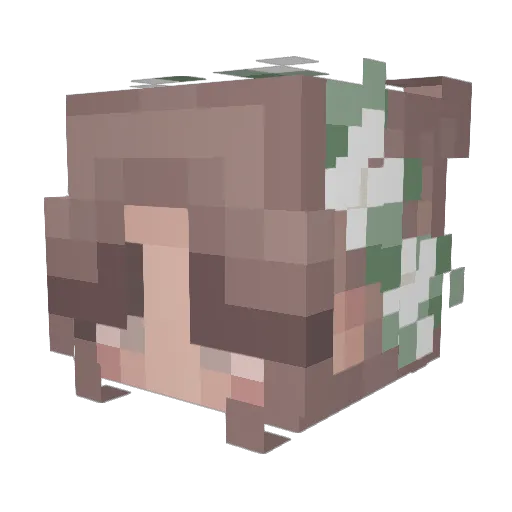 Miaaa_191 Minecraft avatar head, 3D render