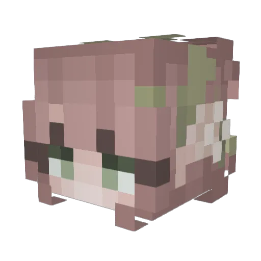 Miabug202 Minecraft avatar head, 3D render