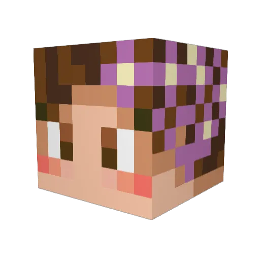 Miadel Minecraft avatar head, 3D render
