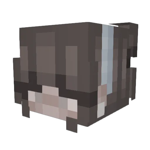 Miadenise9201 Minecraft avatar head, 3D render