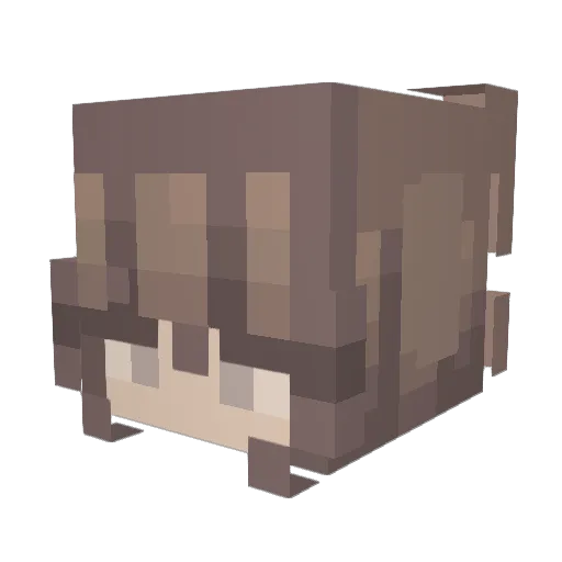 Miakanns Minecraft avatar head, 3D render