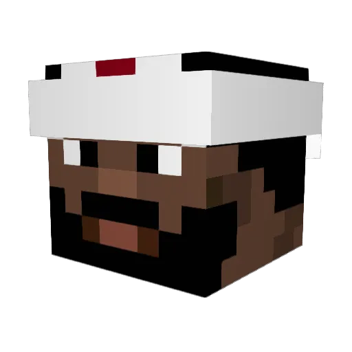 Miami_Heat_6 Minecraft avatar head, 3D render