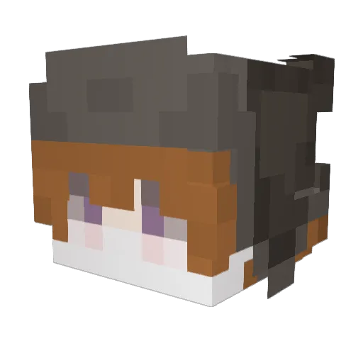 Mian8161 Minecraft avatar head, 3D render