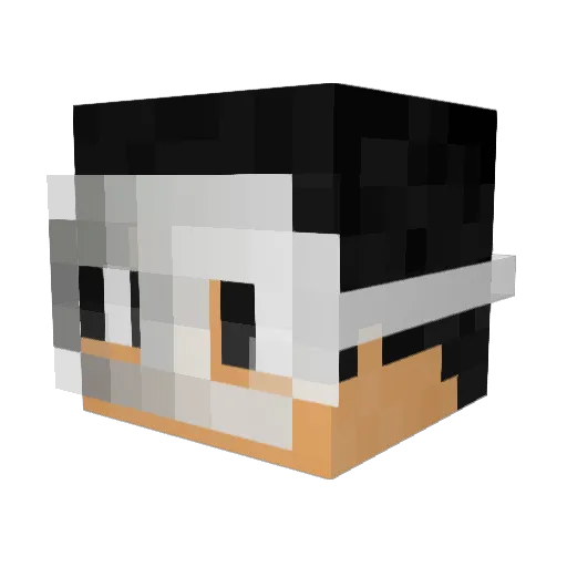 MiaoJunG Minecraft avatar head, 3D render