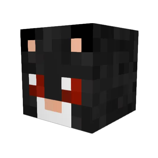 Miaou00007 Minecraft avatar head, 3D render