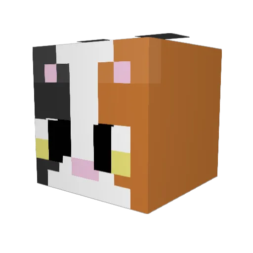 Miaou333 Minecraft avatar head, 3D render