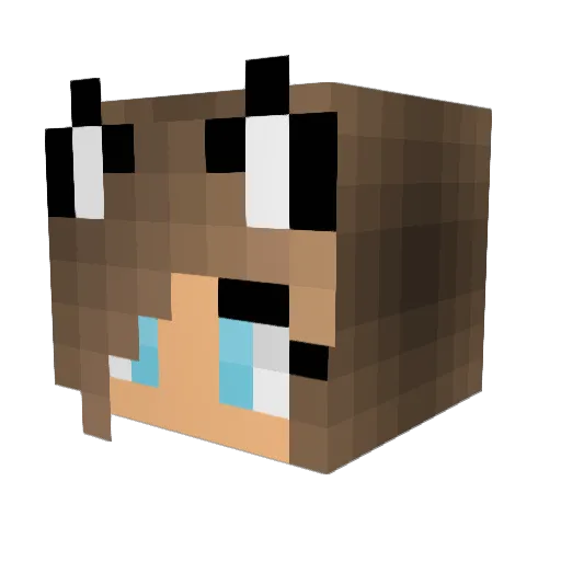Miapacootje Minecraft avatar head, 3D render