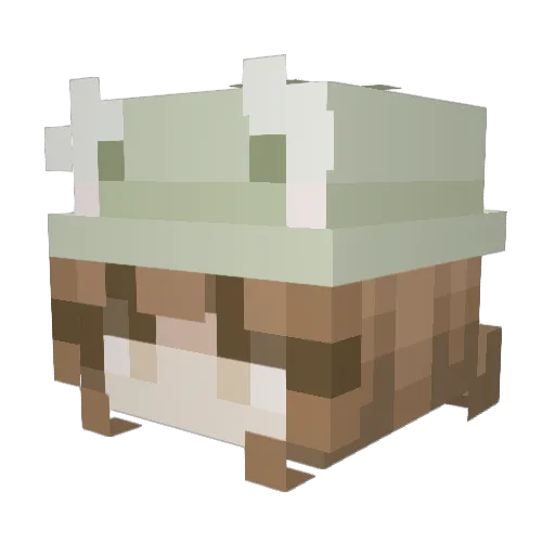 Miathecat229 Minecraft avatar head, 3D render