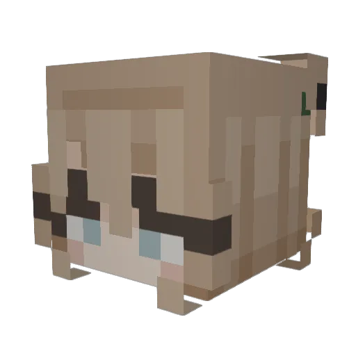 MiauwPoeder Minecraft avatar head, 3D render