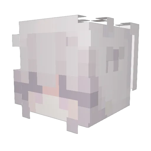 Miawk4t Minecraft avatar head, 3D render