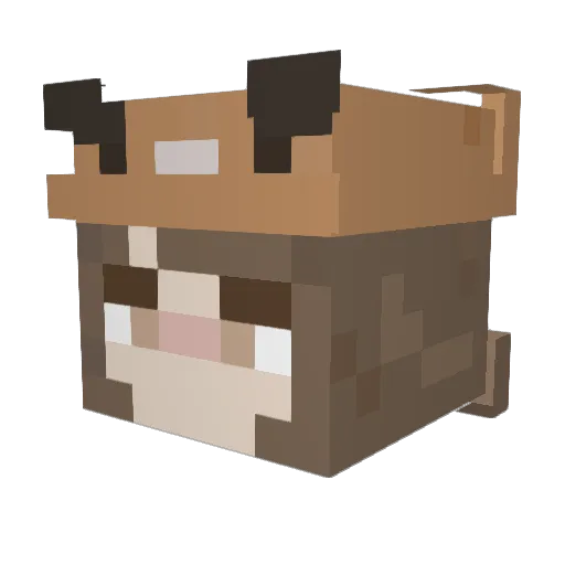 Mic00ho Minecraft avatar head, 3D render