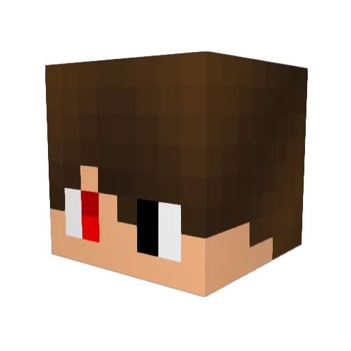 Mic_bigyy Minecraft avatar head, 3D render