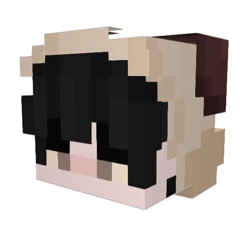 MicahEcho87 Minecraft avatar head, 3D render