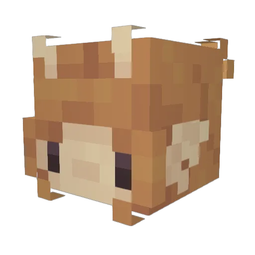 Micahh__ Minecraft avatar head, 3D render