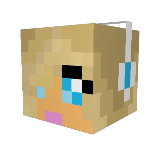 MicaryW Minecraft avatar head, 3D render