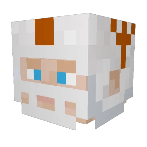 Michael061709 Minecraft avatar head, 3D render