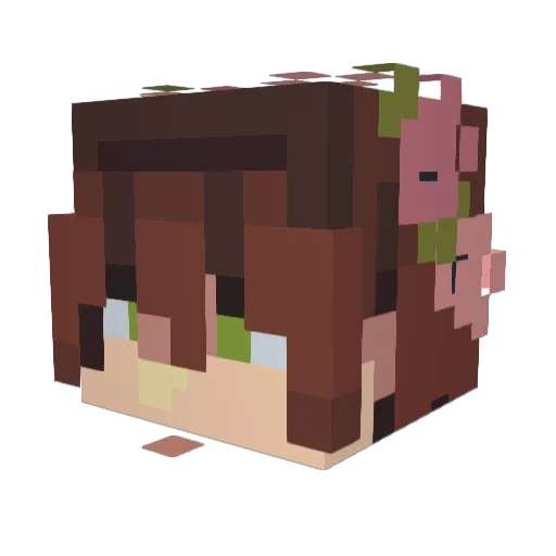Michael19022 Minecraft avatar head, 3D render