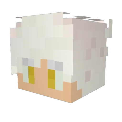 Michael270213 Minecraft avatar head, 3D render