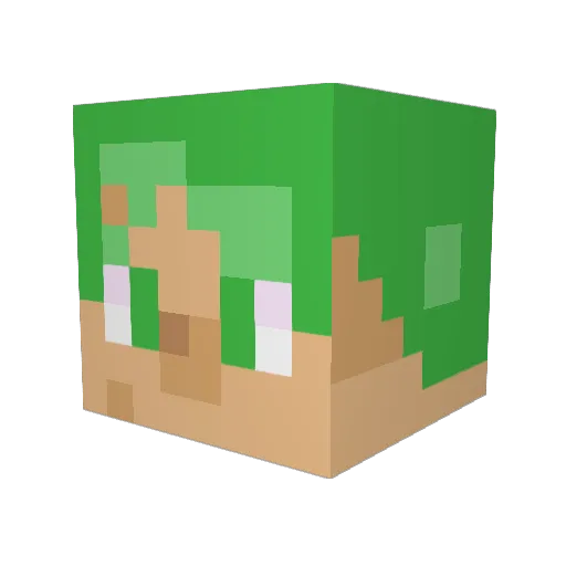 MichaelM999 Minecraft avatar head, 3D render