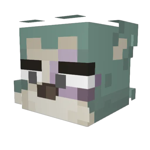 MichaelSlayder Minecraft avatar head, 3D render