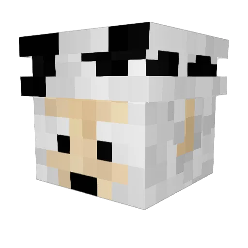 Michael_Kaiser22 Minecraft avatar head, 3D render