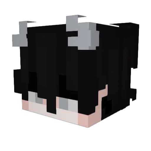 Michaelis77 Minecraft avatar head, 3D render