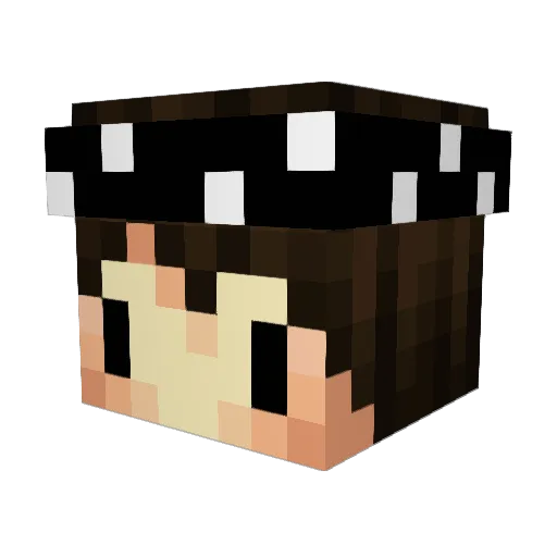 Michaelnauts Minecraft avatar head, 3D render