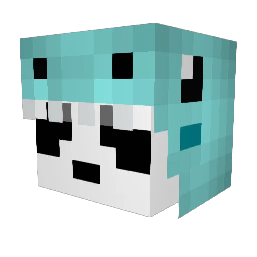 MichaeltjeO1 Minecraft avatar head, 3D render