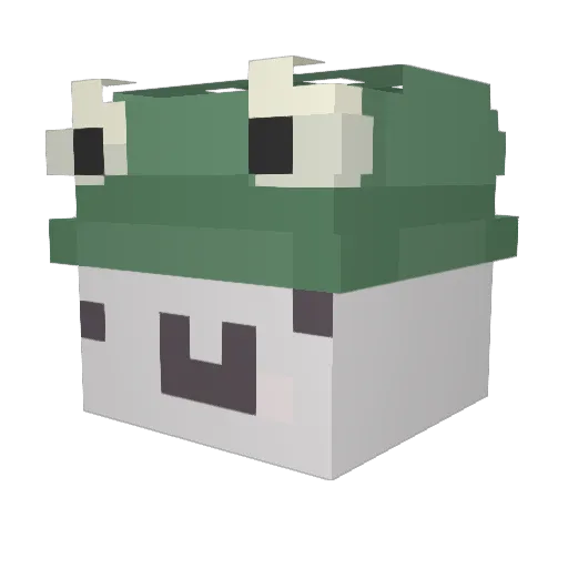 Michal1889 Minecraft avatar head, 3D render