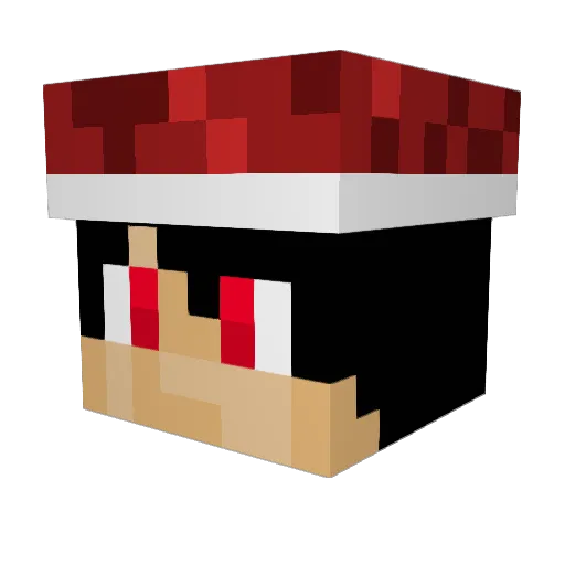 Michal1916 Minecraft avatar head, 3D render