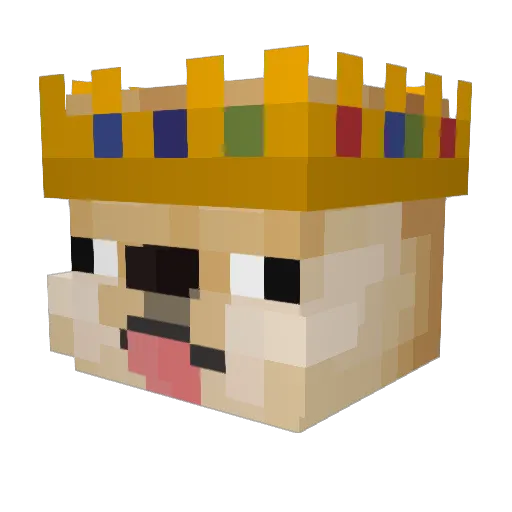 Michal212 Minecraft avatar head, 3D render