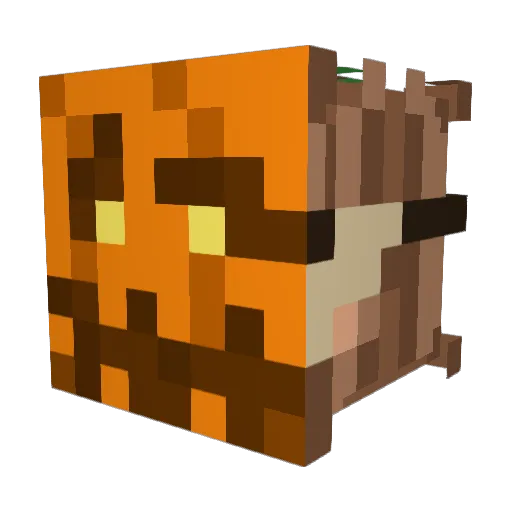 MichalChwytny Minecraft avatar head, 3D render