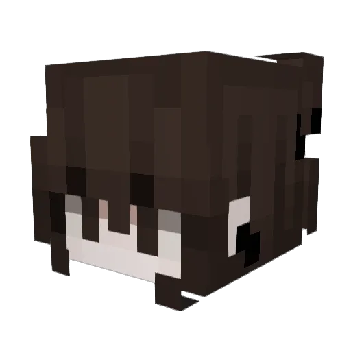 MichalHusaria Minecraft avatar head, 3D render