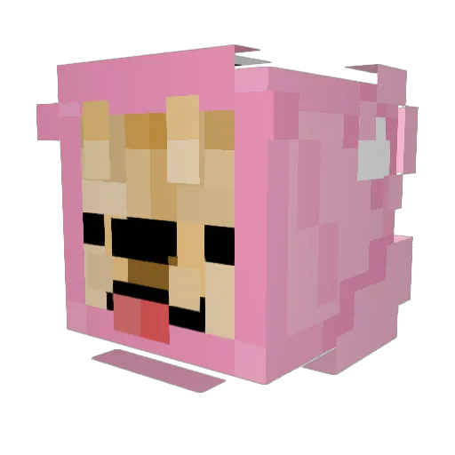 Michalina2013 Minecraft avatar head, 3D render