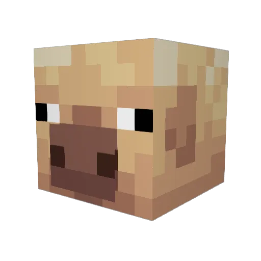 Michalliilllil Minecraft avatar head, 3D render