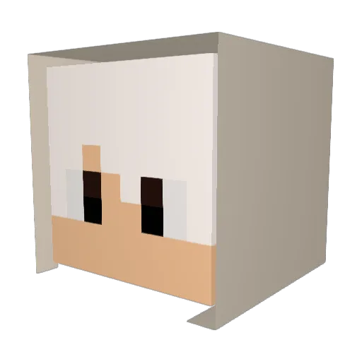 Michan09 Minecraft avatar head, 3D render