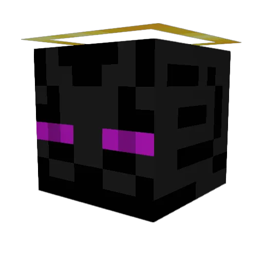 Michcal2007 Minecraft avatar head, 3D render