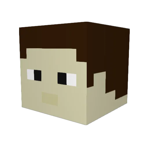 Miche44 Minecraft avatar head, 3D render