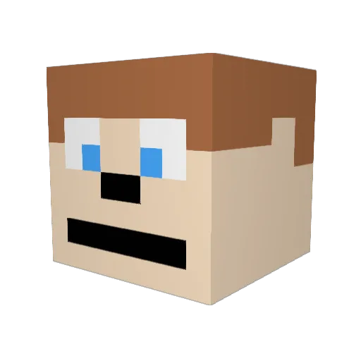 Micheal200 Minecraft avatar head, 3D render
