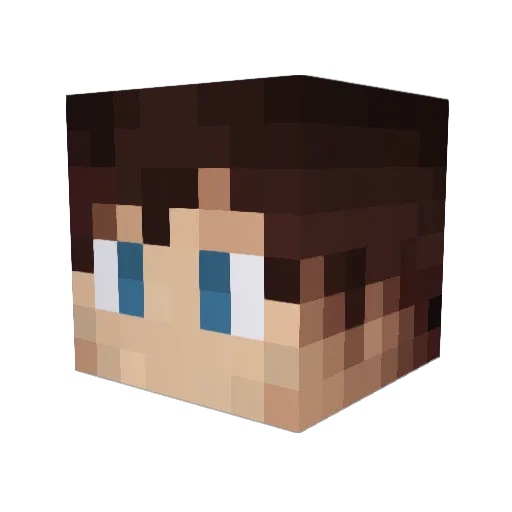 Michel0615 Minecraft avatar head, 3D render