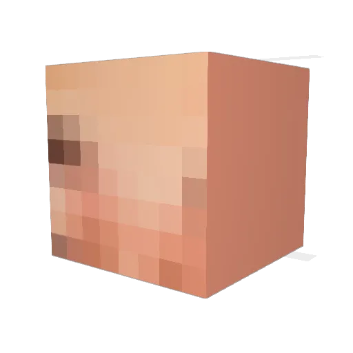 MichelPGM Minecraft avatar head, 3D render