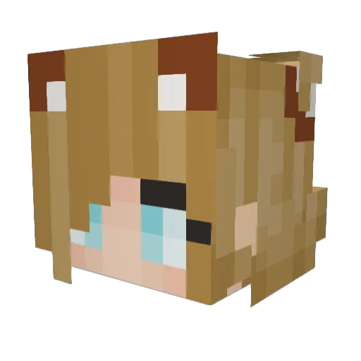 MichellThr Minecraft avatar head, 3D render