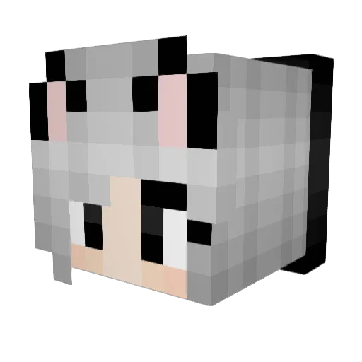 Michellecrazy Minecraft avatar head, 3D render