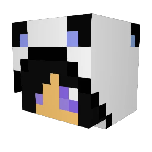 Michellemimi123 Minecraft avatar head, 3D render